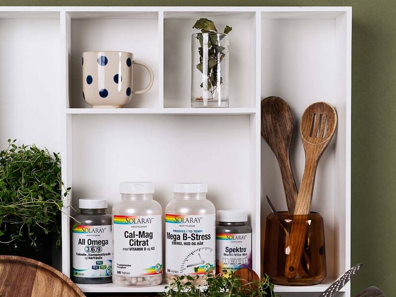 Mere energi i hverdagen med Solaray